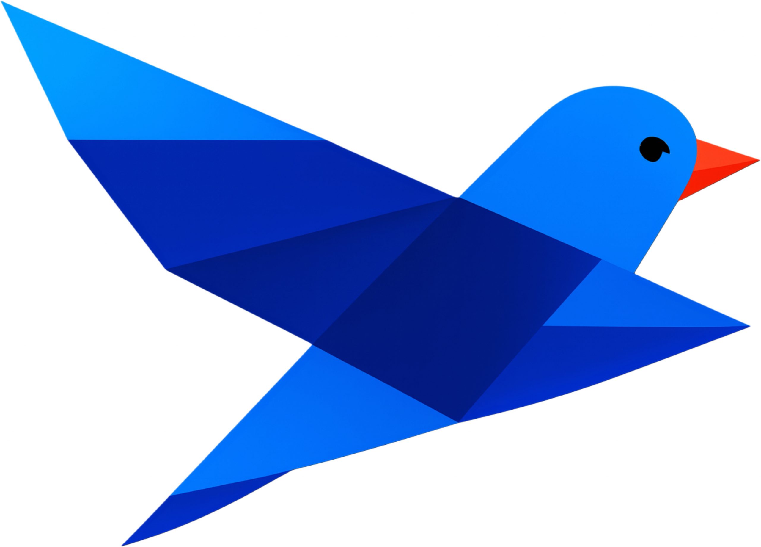 BÜRGERLICH FREIHEITLICHE INITIATIVE